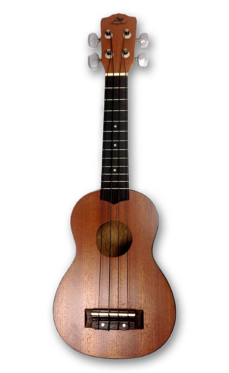 10 Best Tenor Ukulele For Ukulele Lovers